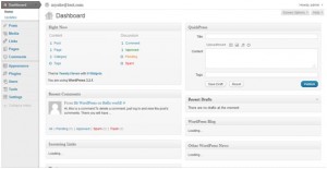 install-wordpress-step11-1